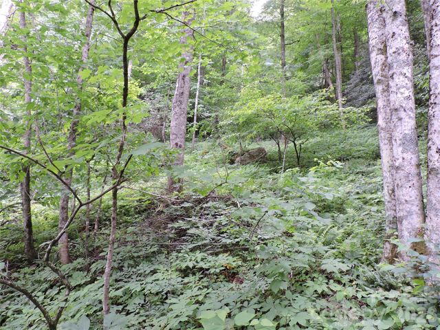 963 Melton Branch Road, Bakersville, NC 28705