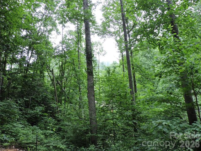 963 Melton Branch Road, Bakersville, NC 28705