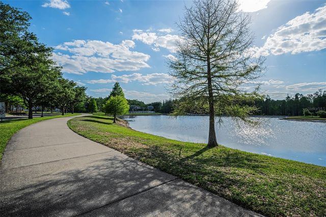 8449 BLUEVINE SKY DRIVE, Land O Lakes, FL 34637