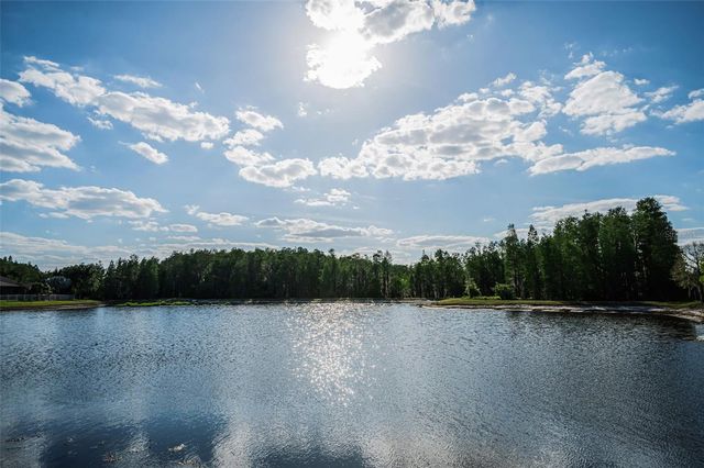 8449 BLUEVINE SKY DRIVE, Land O Lakes, FL 34637