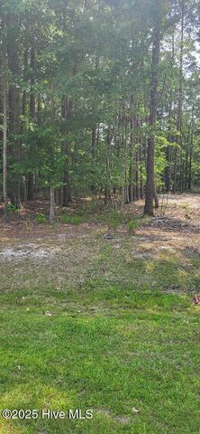 Jj60 Paint Lane, Hertford, NC 27944