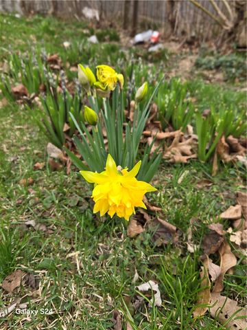 727 W High Street, Springfield, OH 45506