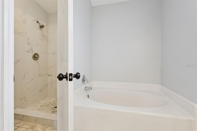 237 CURTIS AVENUE, Groveland, FL 34736