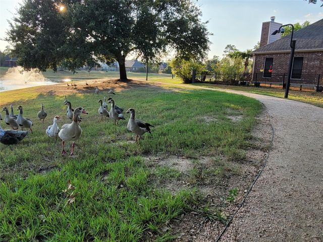 19922 Cypresswood Square, Spring, TX 77373
