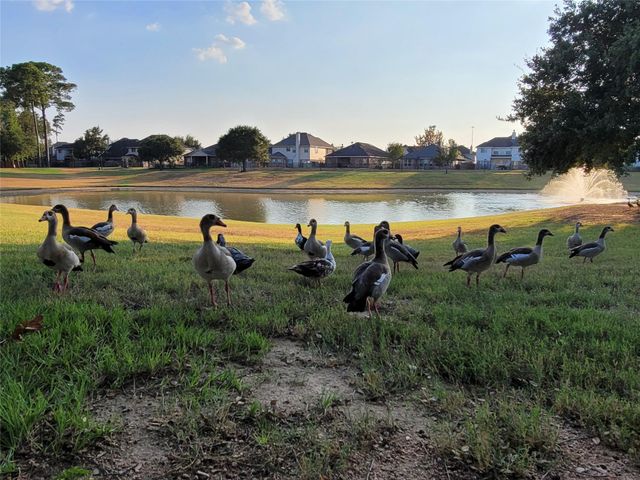 19922 Cypresswood Square, Spring, TX 77373