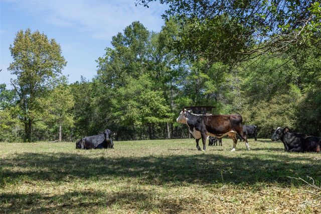 9832 Hawaii Lane, Midway, TX 75852