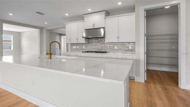 14371 HAMMOCK OAK STREET, Parrish, FL 34219