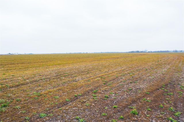 000 TBD Hwy 95 & CR 325, Granger, TX 76530
