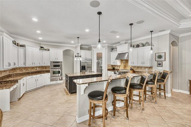 11518 HAMMOCK OAKS COURT, Lithia, FL 33547