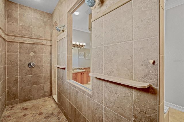 11518 HAMMOCK OAKS COURT, Lithia, FL 33547