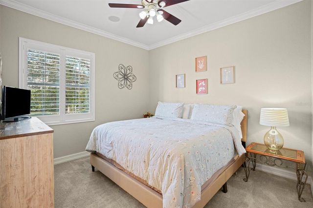 11518 HAMMOCK OAKS COURT, Lithia, FL 33547