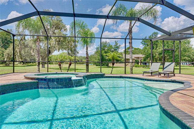 11518 HAMMOCK OAKS COURT, Lithia, FL 33547