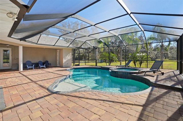 11518 HAMMOCK OAKS COURT, Lithia, FL 33547