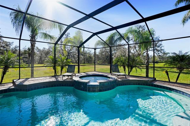 11518 HAMMOCK OAKS COURT, Lithia, FL 33547