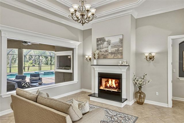 11518 HAMMOCK OAKS COURT, Lithia, FL 33547