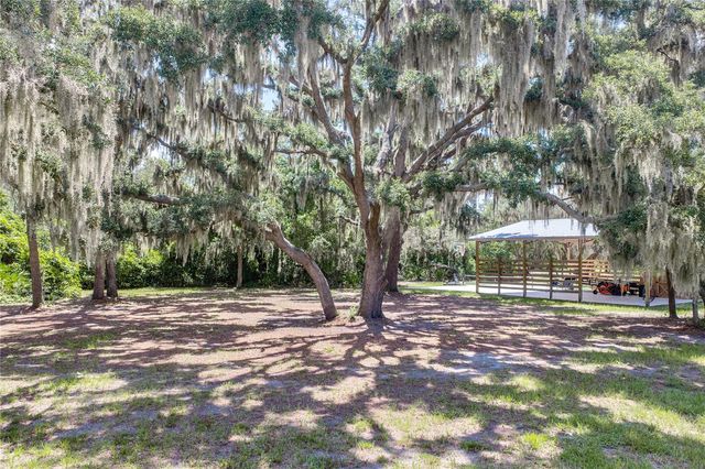 11518 HAMMOCK OAKS COURT, Lithia, FL 33547