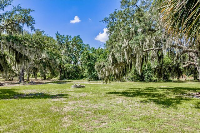 11518 HAMMOCK OAKS COURT, Lithia, FL 33547