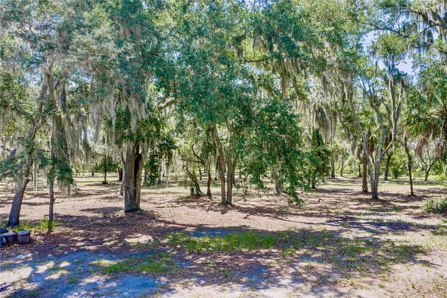11518 HAMMOCK OAKS COURT, Lithia, FL 33547
