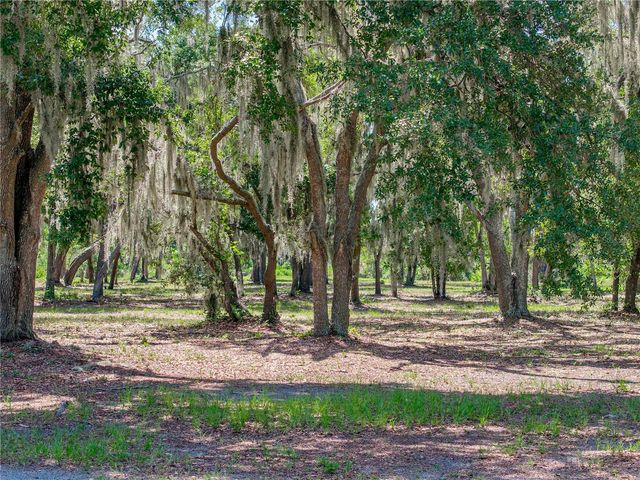 11518 HAMMOCK OAKS COURT, Lithia, FL 33547