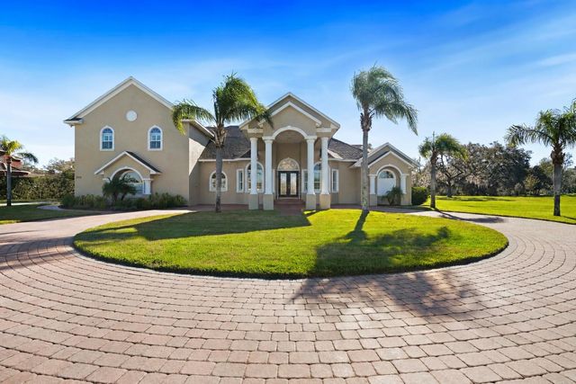 11518 HAMMOCK OAKS COURT, Lithia, FL 33547