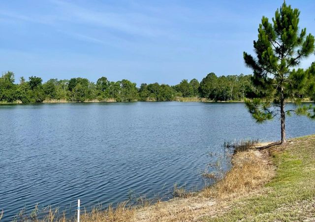 630 THOUSAND OAKS BOULEVARD, Davenport, FL 33896