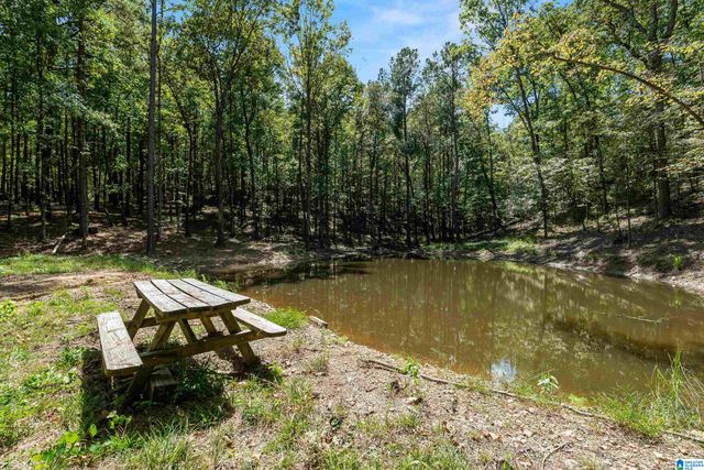 1385 COUNTY ROAD 467, Harpersville, AL 35178