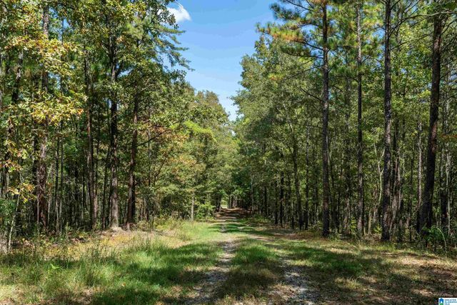 1385 COUNTY ROAD 467, Harpersville, AL 35178