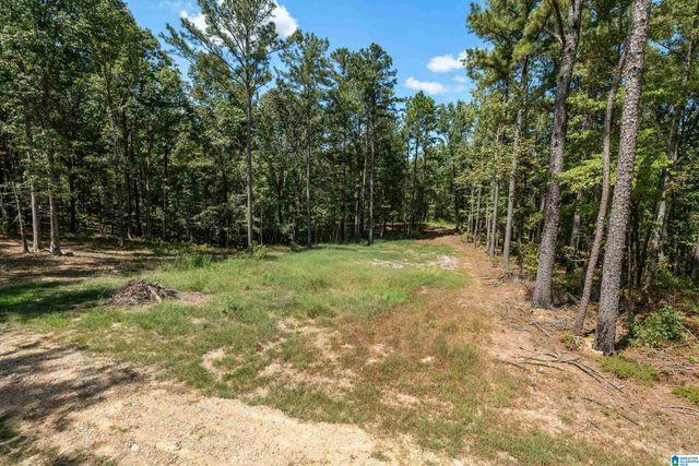 1385 COUNTY ROAD 467, Harpersville, AL 35178