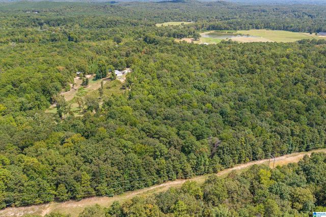 1385 COUNTY ROAD 467, Harpersville, AL 35178