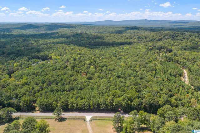 1385 COUNTY ROAD 467, Harpersville, AL 35178