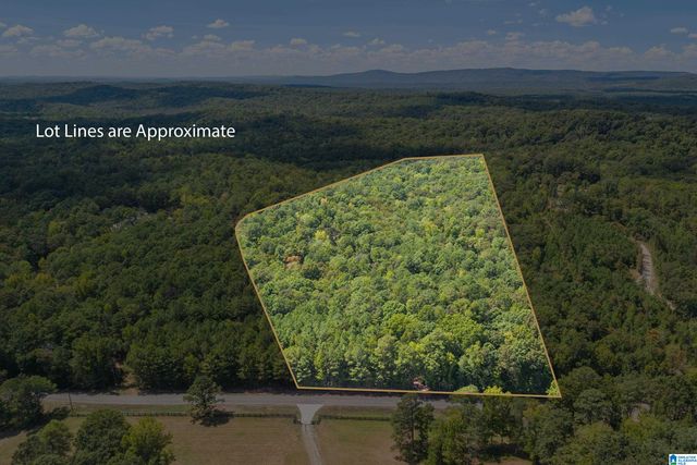 1385 COUNTY ROAD 467, Harpersville, AL 35178