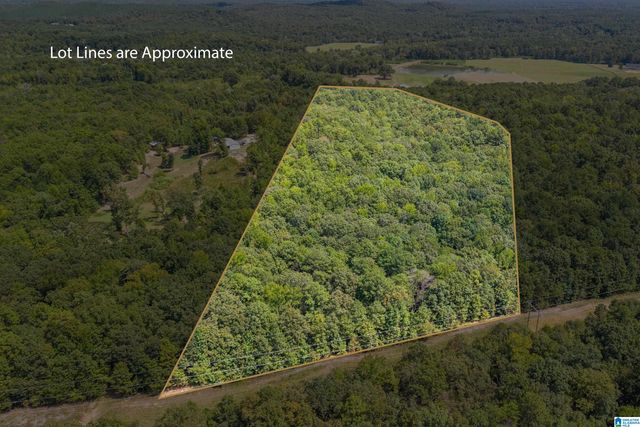 1385 COUNTY ROAD 467, Harpersville, AL 35178