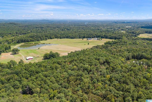 1385 COUNTY ROAD 467, Harpersville, AL 35178