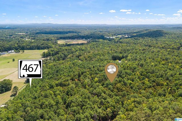 1385 COUNTY ROAD 467, Harpersville, AL 35178