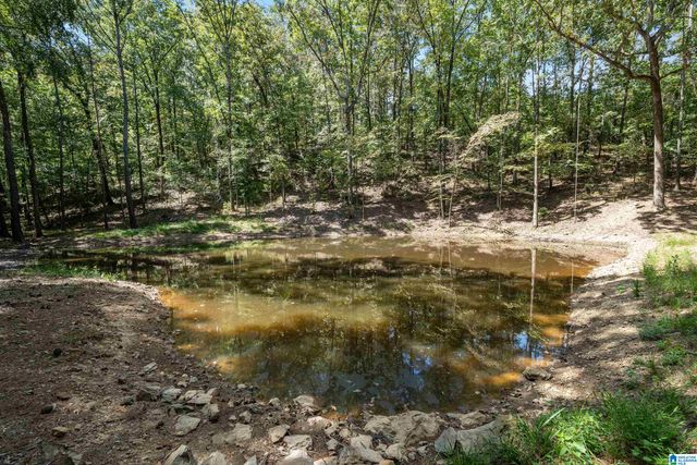 1385 COUNTY ROAD 467, Harpersville, AL 35178