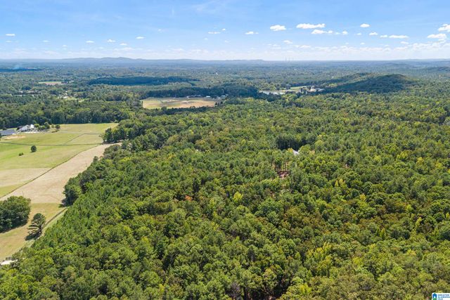 1385 COUNTY ROAD 467, Harpersville, AL 35178