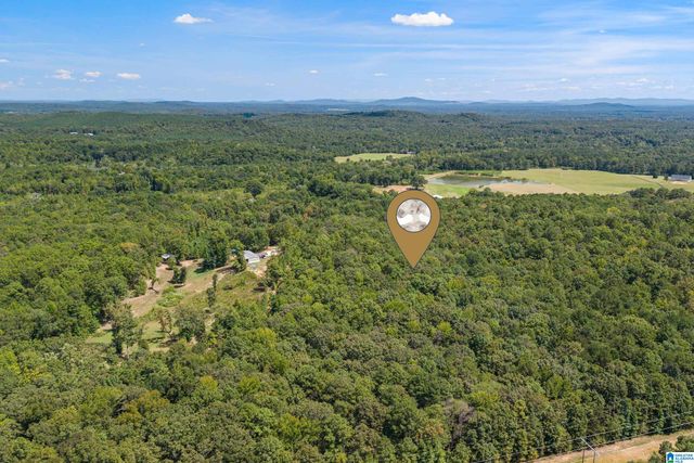 1385 COUNTY ROAD 467, Harpersville, AL 35178