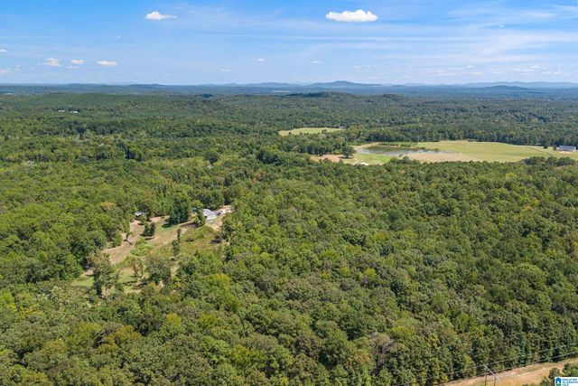 1385 COUNTY ROAD 467, Harpersville, AL 35178