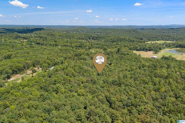 1385 COUNTY ROAD 467, Harpersville, AL 35178
