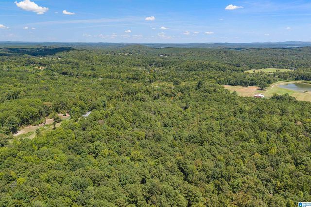 1385 COUNTY ROAD 467, Harpersville, AL 35178