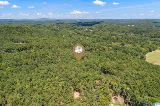 1385 COUNTY ROAD 467, Harpersville, AL 35178