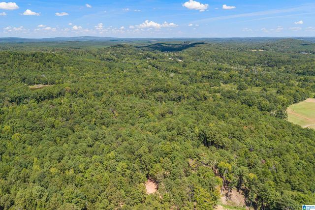 1385 COUNTY ROAD 467, Harpersville, AL 35178