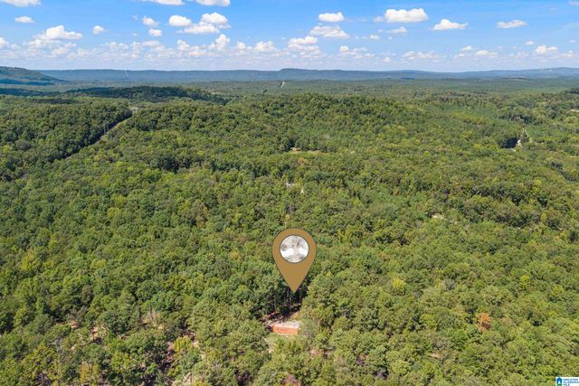 1385 COUNTY ROAD 467, Harpersville, AL 35178