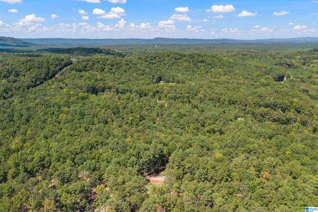 1385 COUNTY ROAD 467, Harpersville, AL 35178
