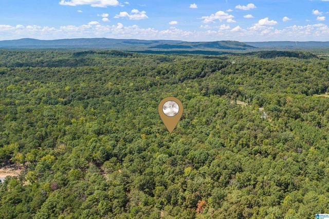 1385 COUNTY ROAD 467, Harpersville, AL 35178