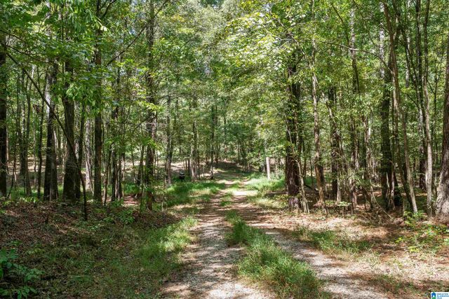 1385 COUNTY ROAD 467, Harpersville, AL 35178
