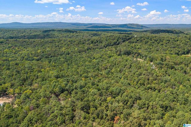 1385 COUNTY ROAD 467, Harpersville, AL 35178