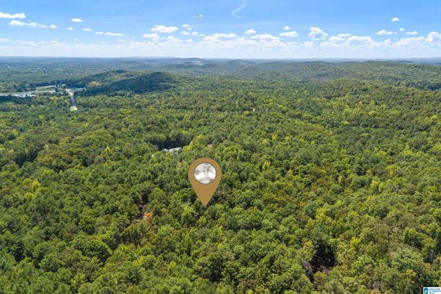 1385 COUNTY ROAD 467, Harpersville, AL 35178
