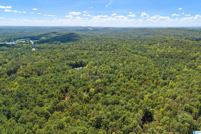 1385 COUNTY ROAD 467, Harpersville, AL 35178