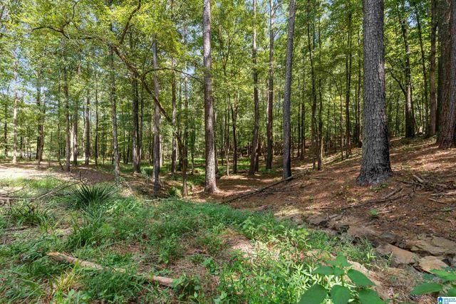 1385 COUNTY ROAD 467, Harpersville, AL 35178